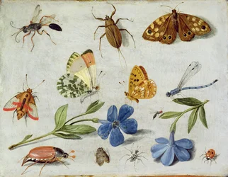 Insekter (olie på kobber)